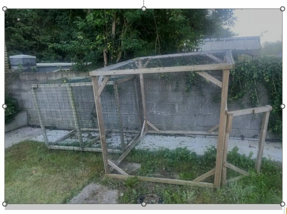 FOC - Chicken Coop/Catio - Image 1