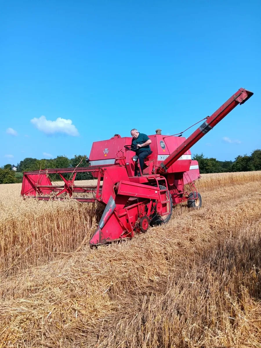 Autumn Harvest - Image 4