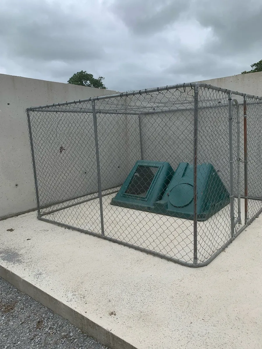Chicken coop and run - Image 2