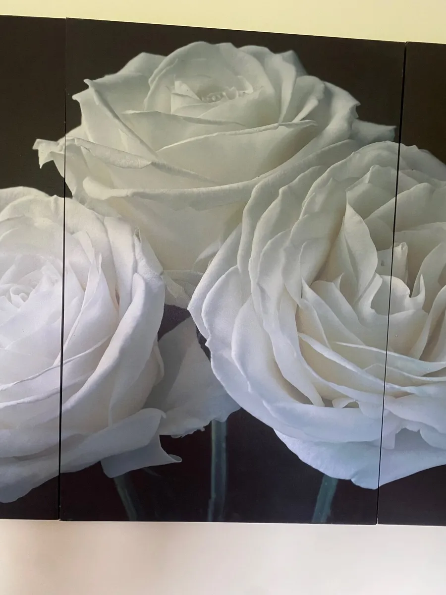Large print Canvas - Image 4