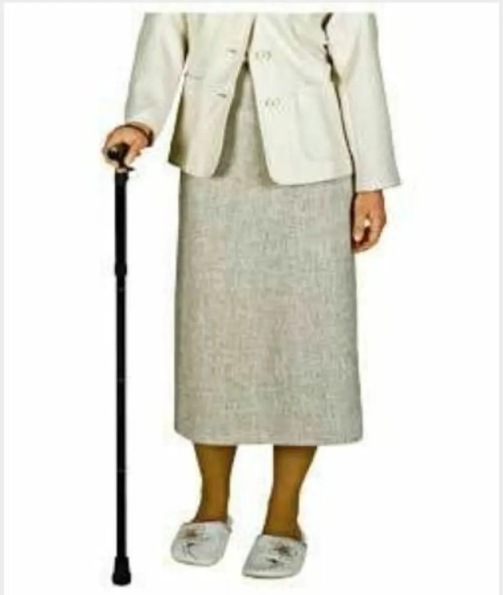 Folding Walking Sticks, Adjustable - Image 2