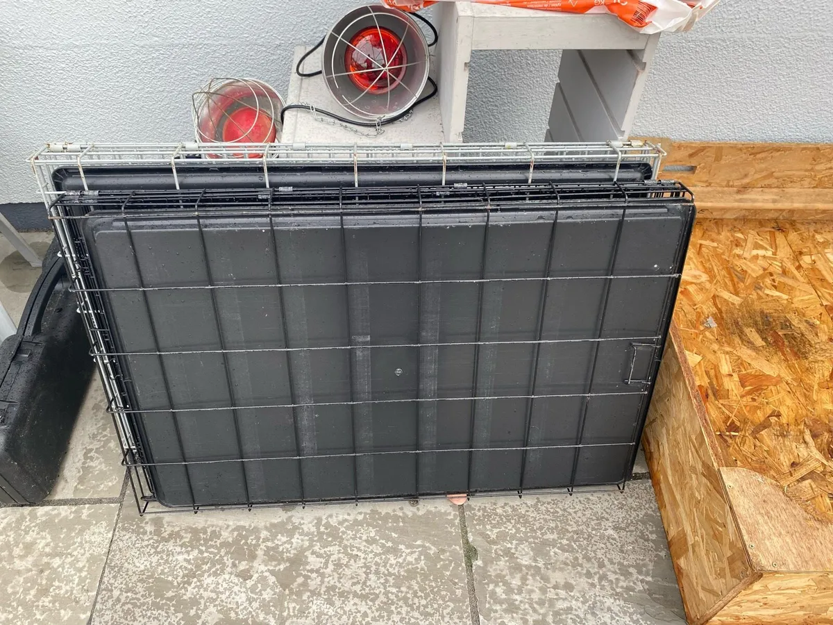 Dog crate and Whelping box. - Image 1