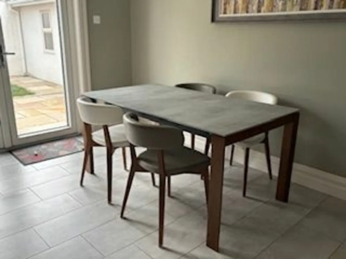 dining table and 4 chairs - Image 1
