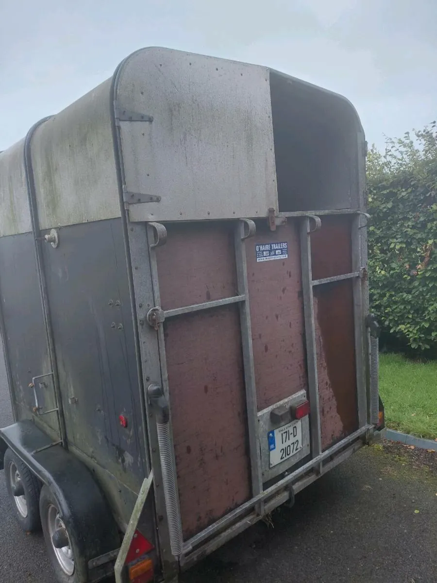 Horsebox for Sale - Image 3