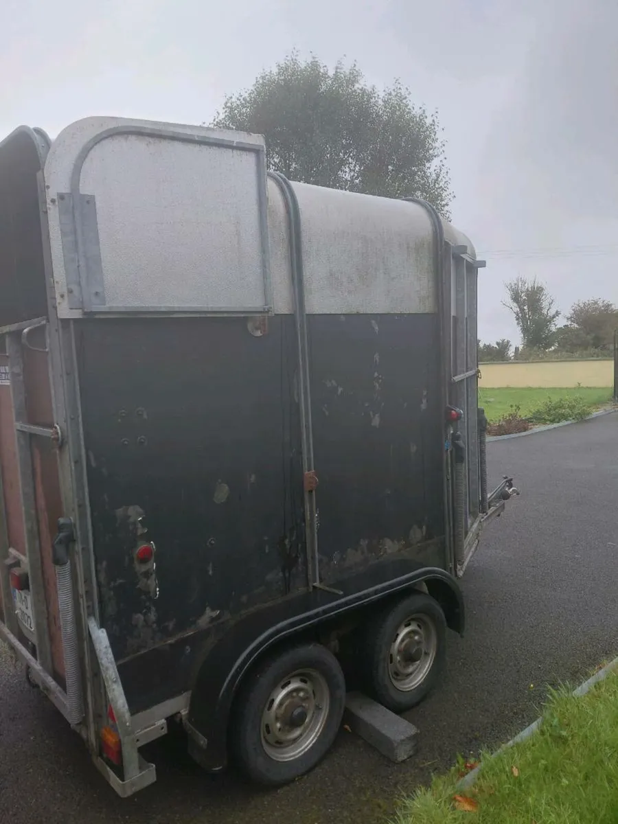 Horsebox for Sale - Image 4