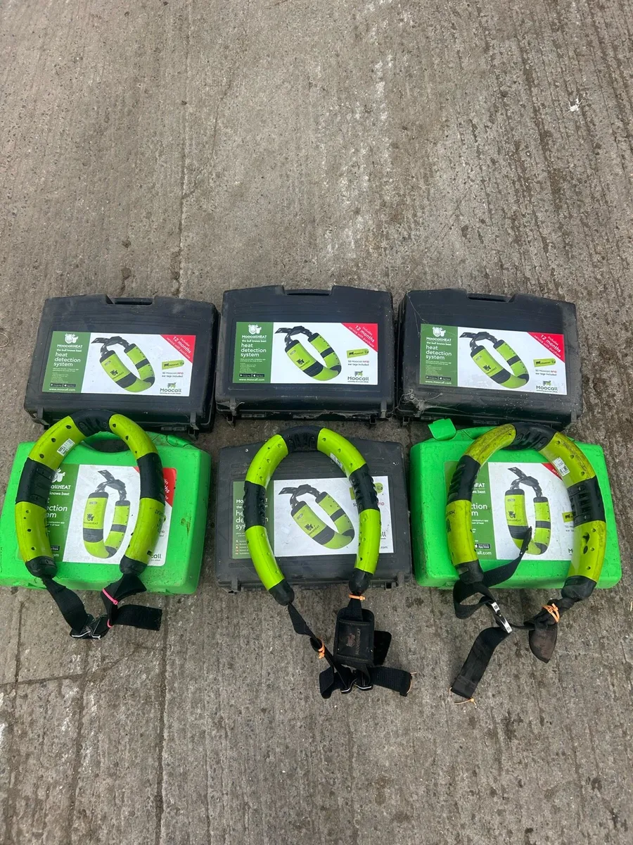 Moocall Heat Collars - Image 1
