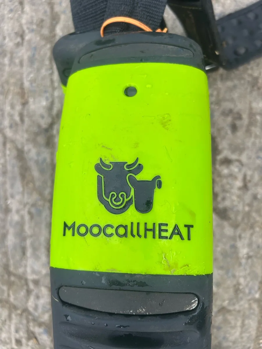 Moocall Heat Collars - Image 3