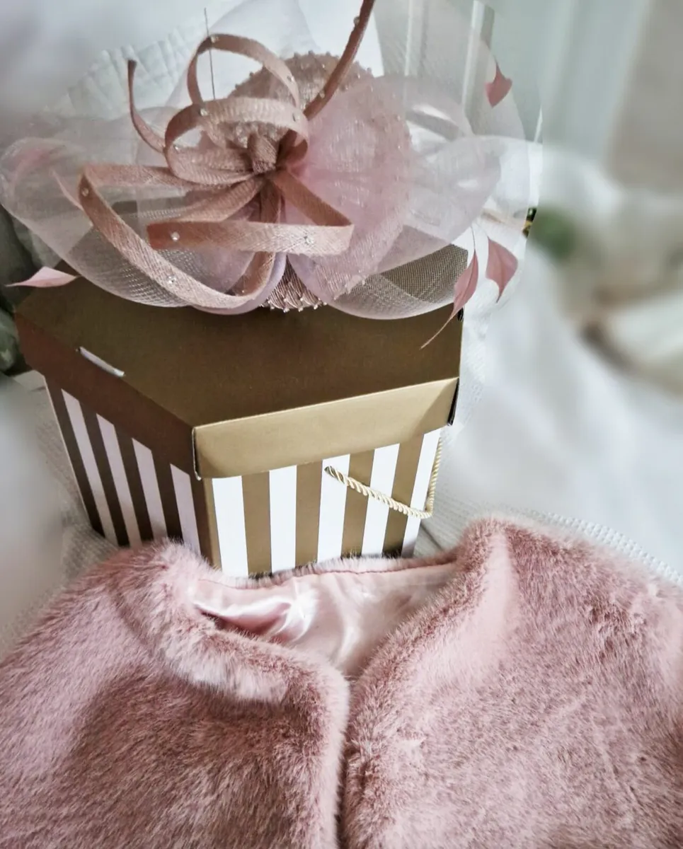 Mother of the Bride Dress (Couture Club) Blush - Image 4