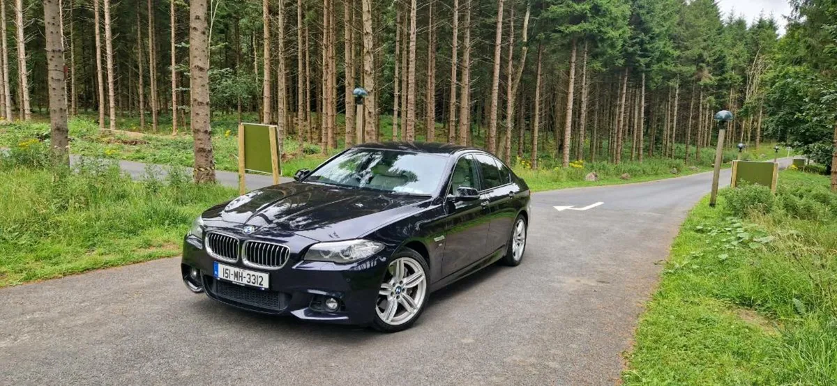 BMW 530d Msport - Image 4