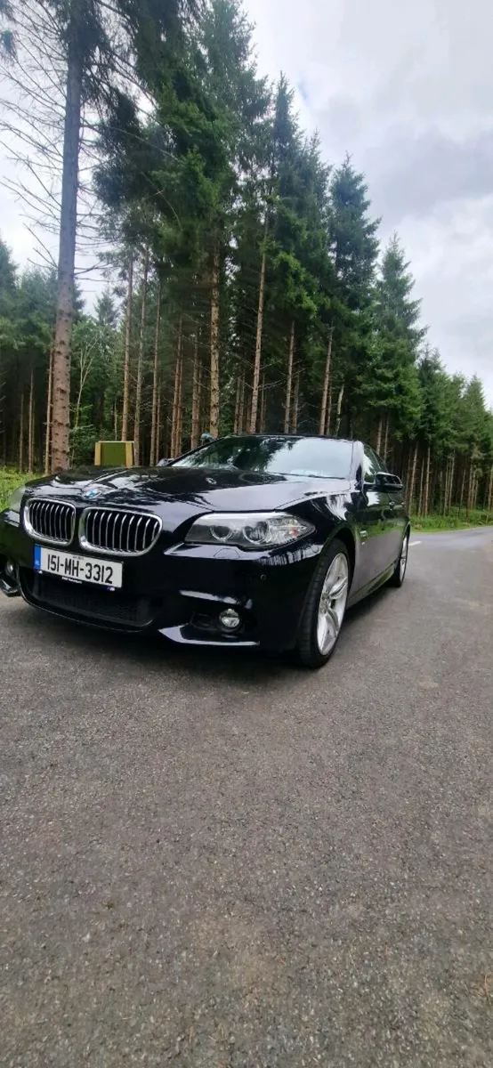 BMW 530d Msport - Image 1