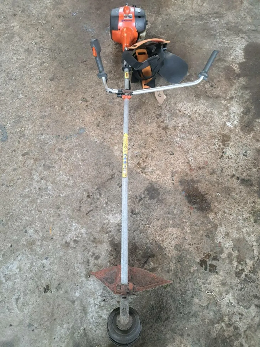 strimmer - Image 1