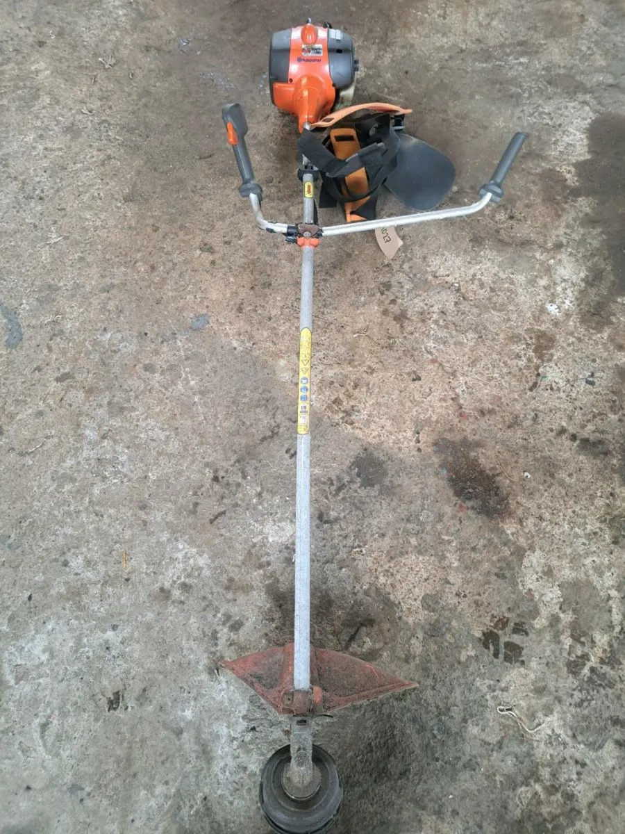 strimmer - Image 3