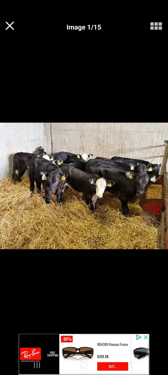 Contract rearing