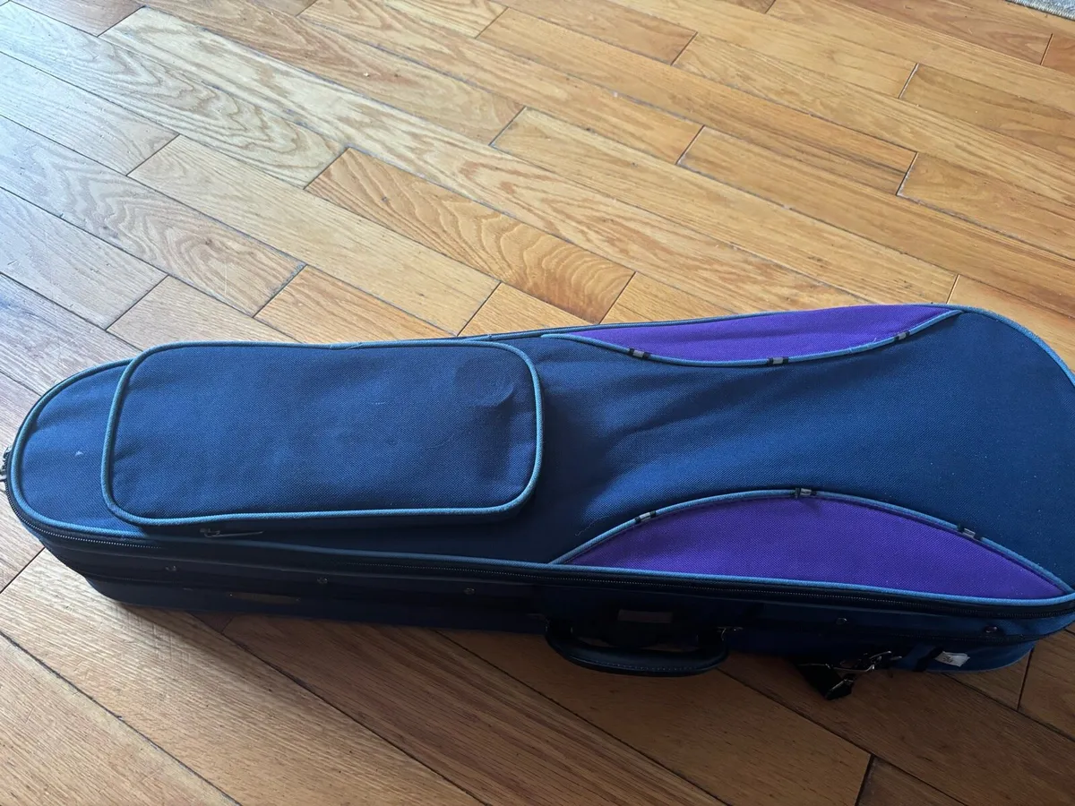 Beginners Violin - Image 4