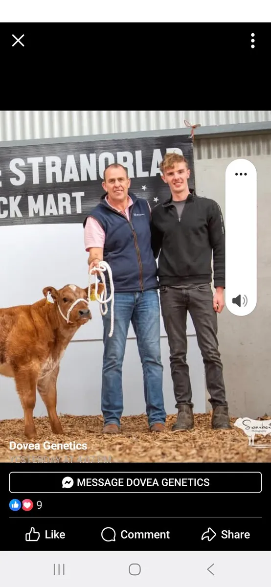 Stranorlar cattle sale list