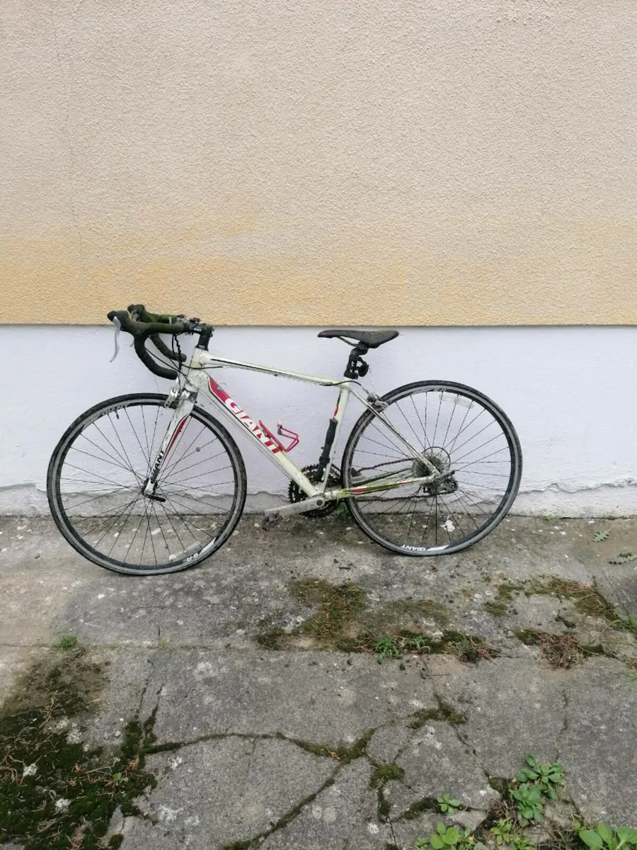 Giant Bike - Image 1