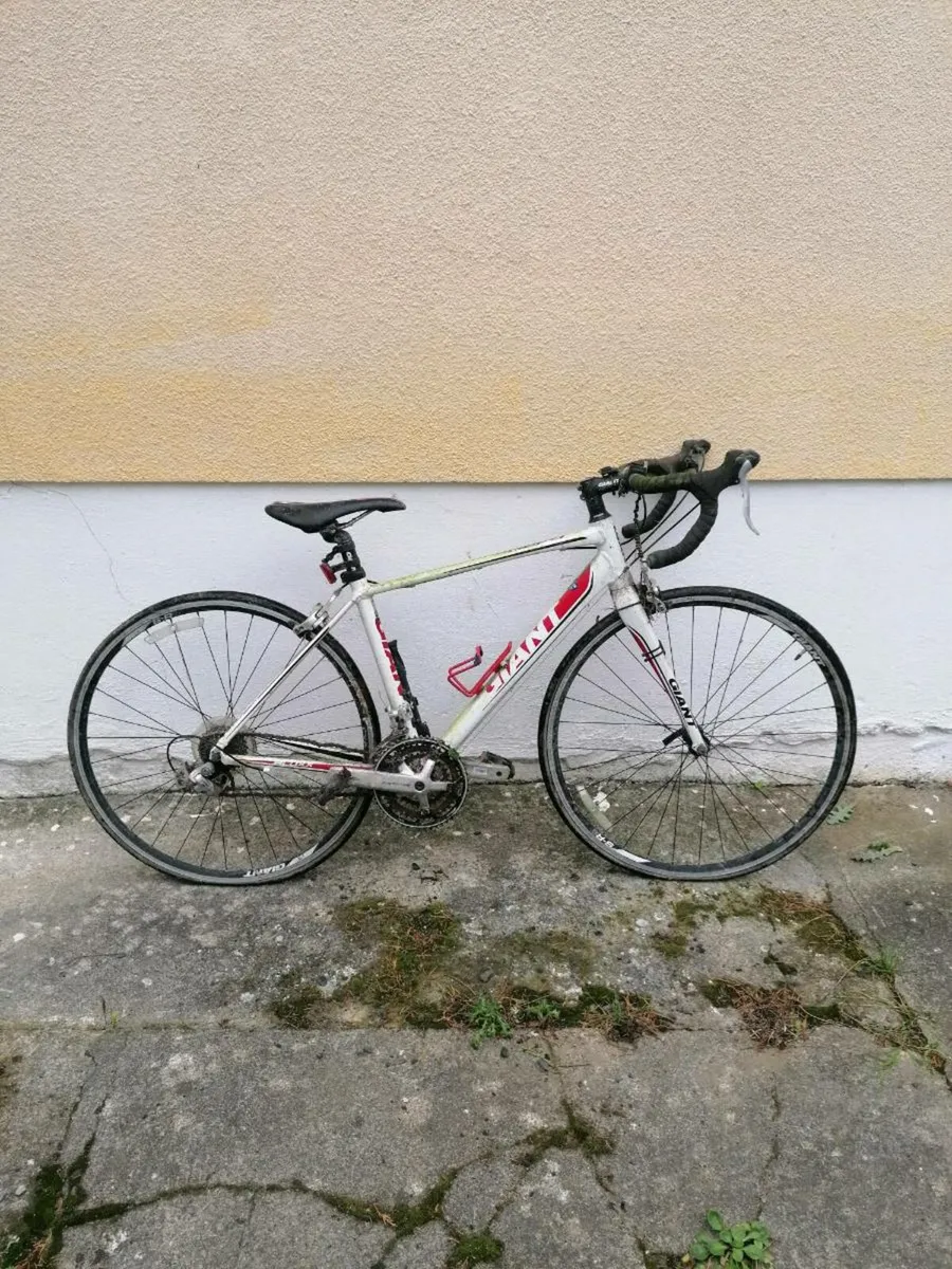 Giant Bike - Image 3