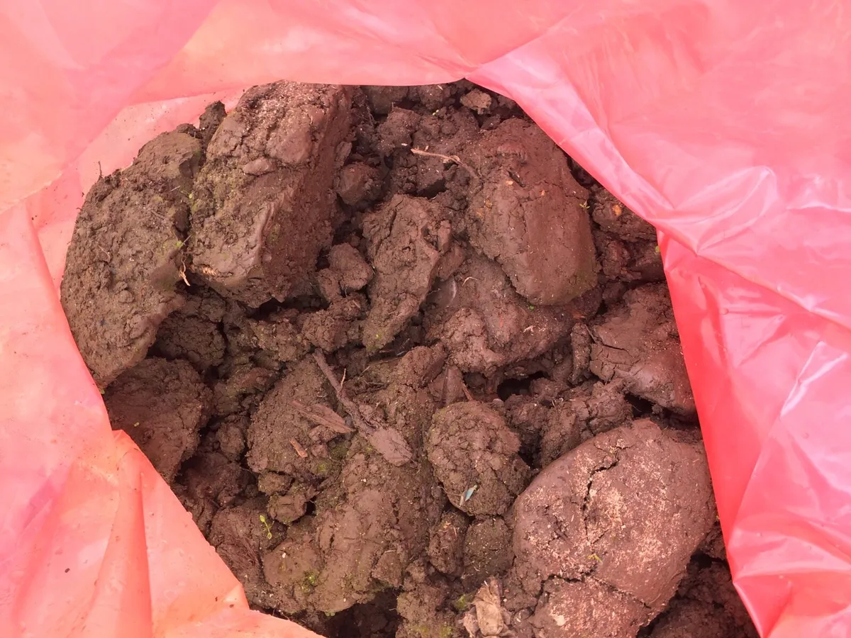 Top soil - Image 2