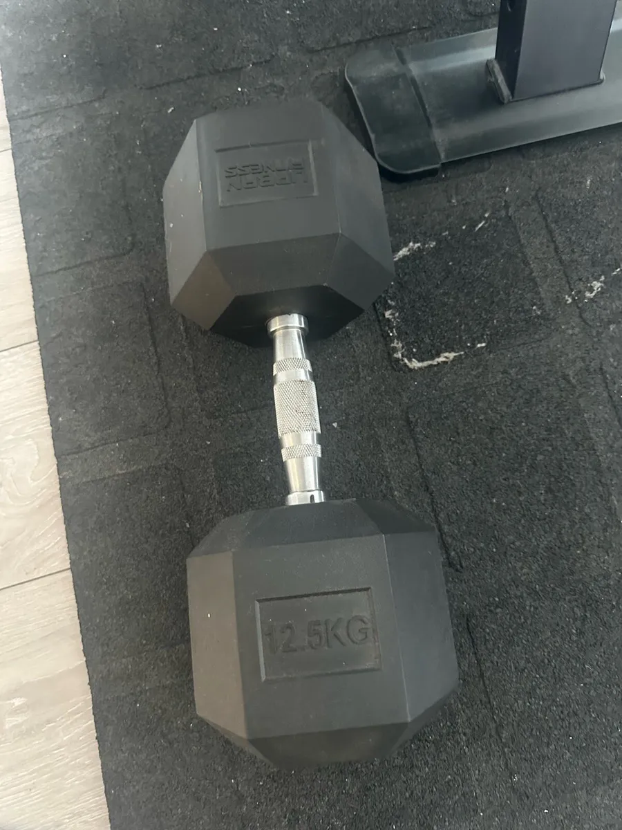 Home bench + weights + mats - Image 4