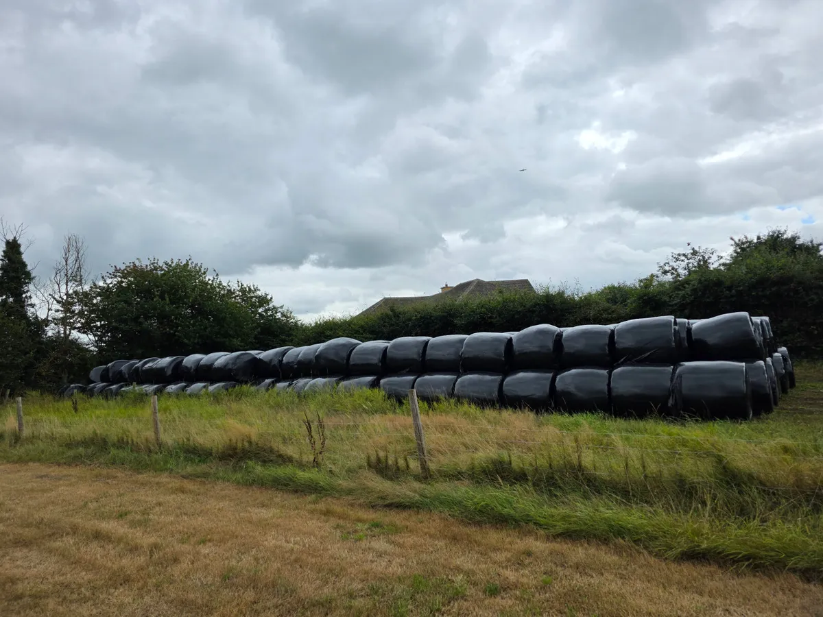 Grassing  bales of Good quality silage - Image 1