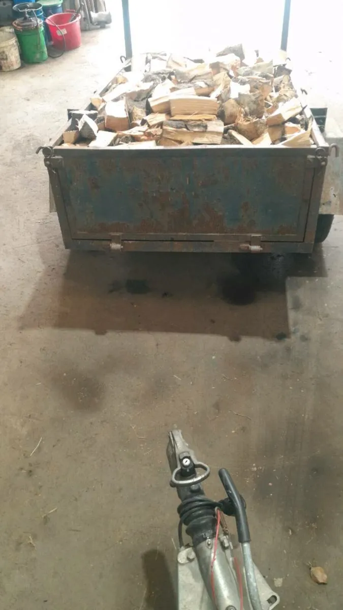 Firewood - Image 1