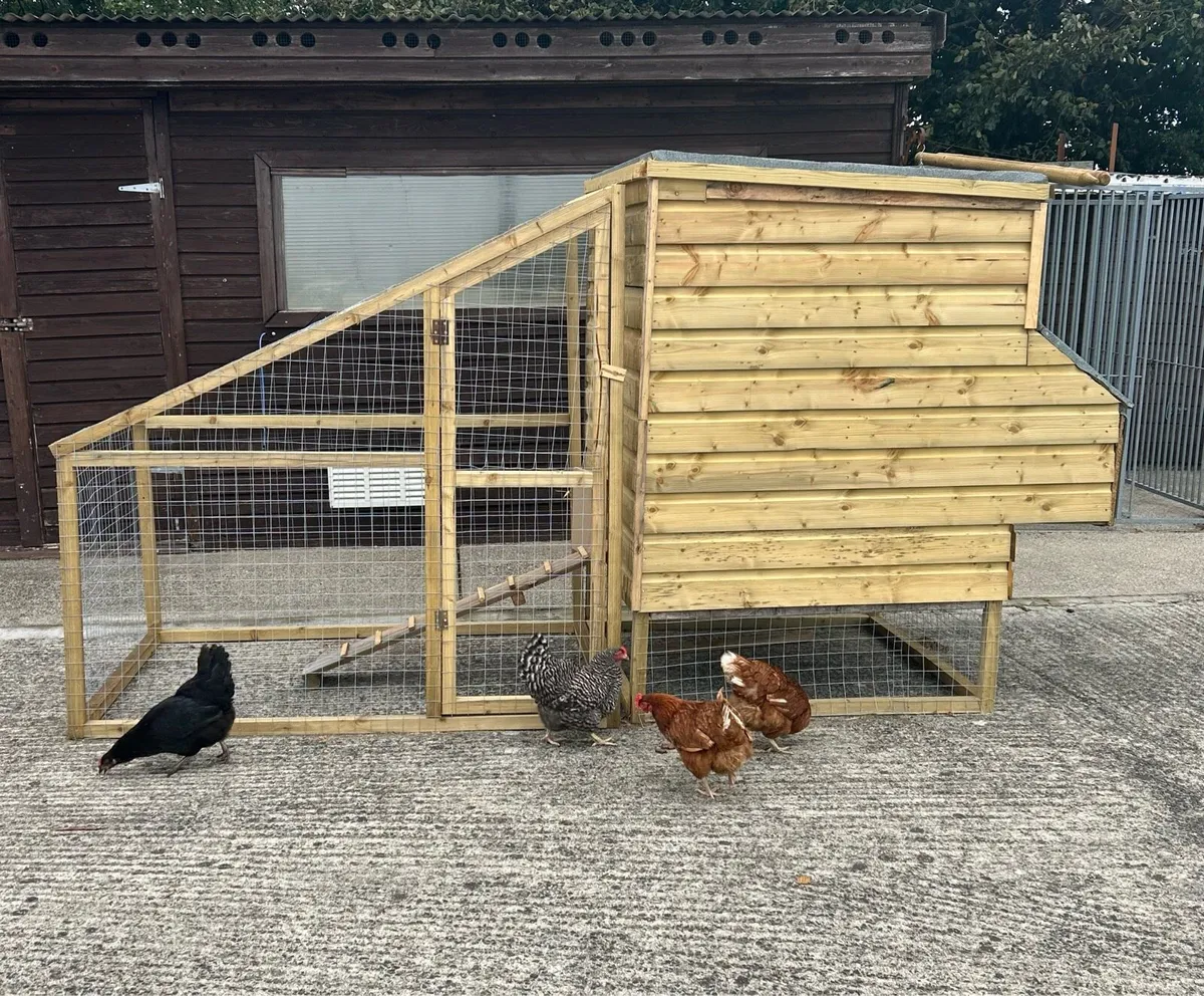 Chicken Coop - Image 1