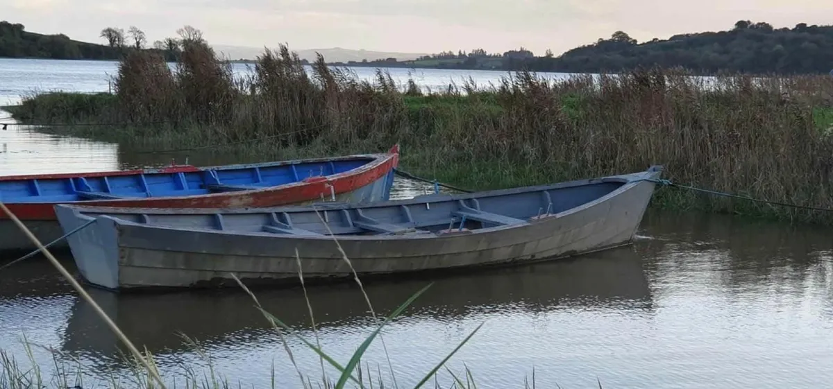 19ft timber boat - Image 1