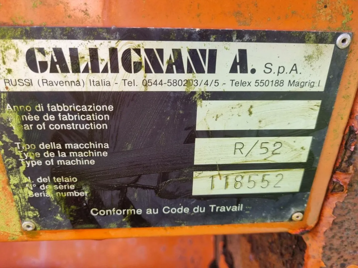 Reco gallighani - Image 2