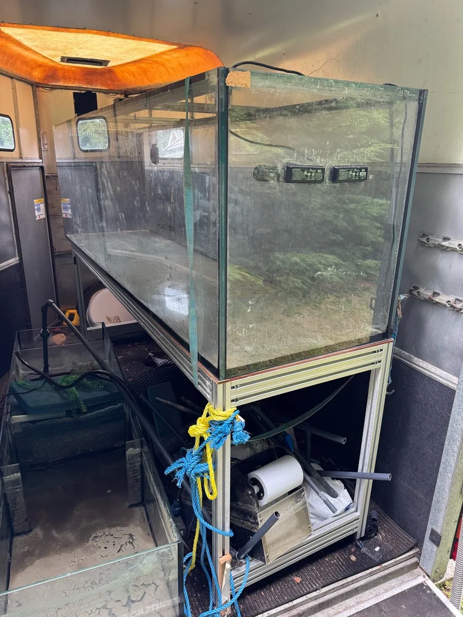 Fish tank - Image 1