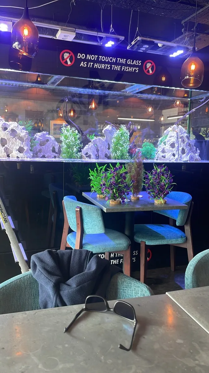 Fish tank - Image 3