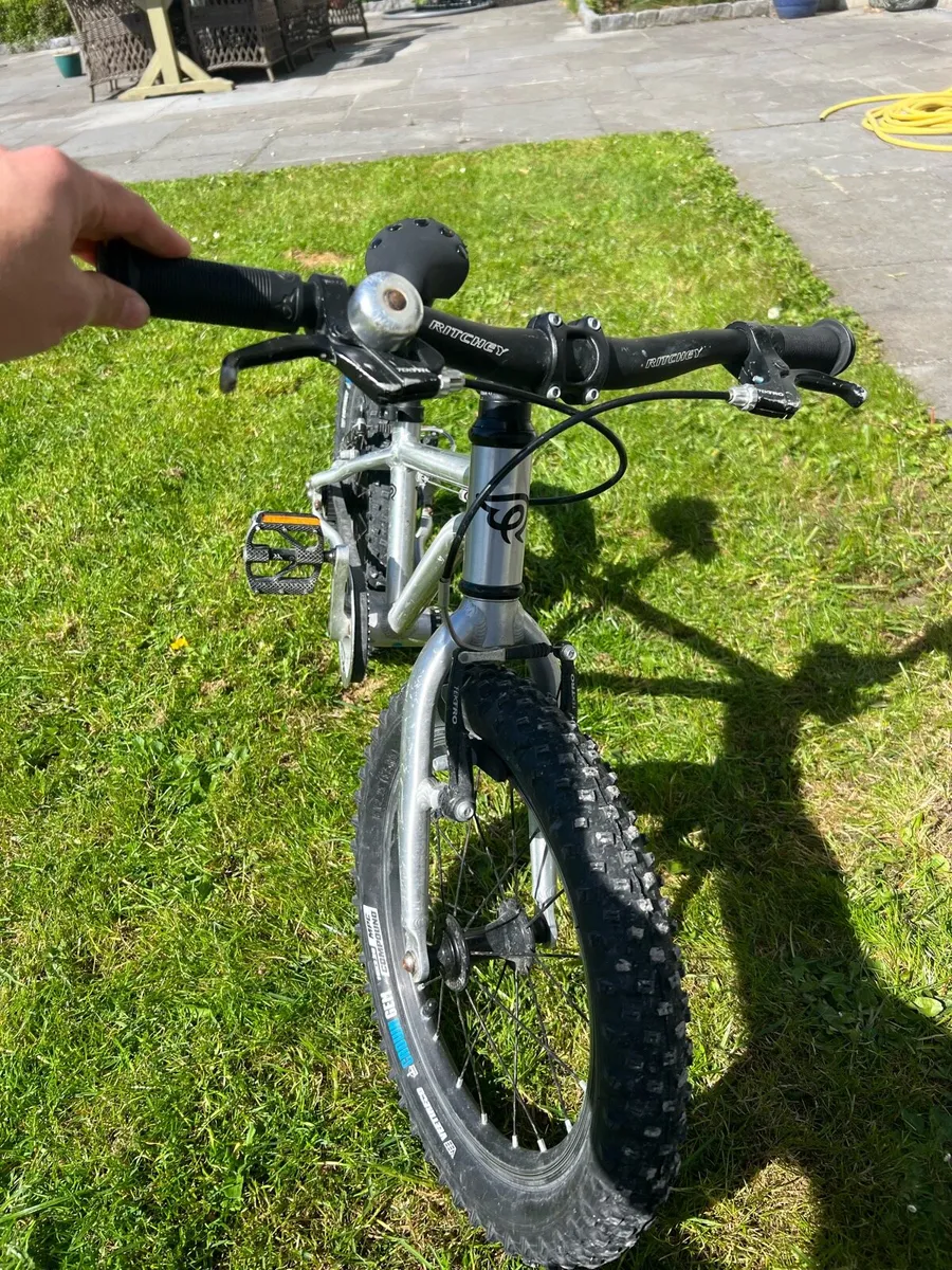 Early Rider 16 child’s belt drive bike - Image 2