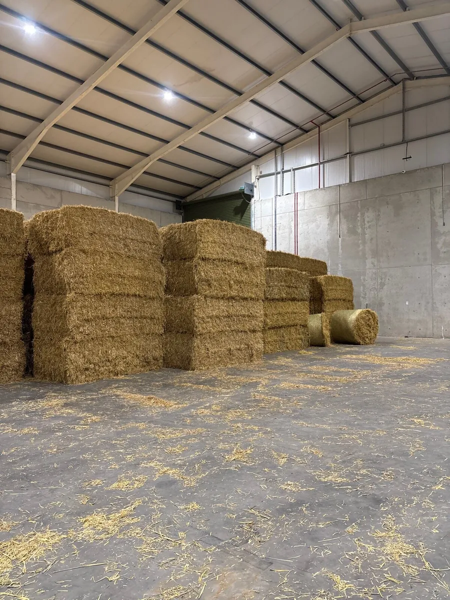 Straw - Image 4