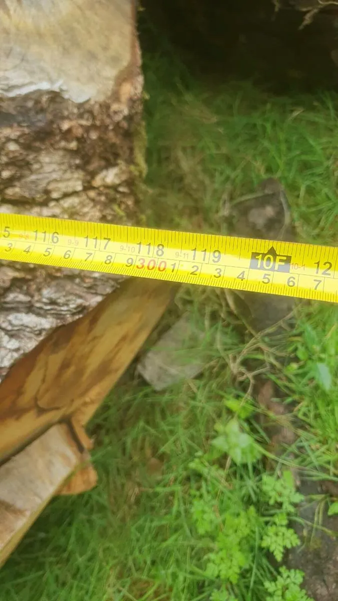 Large pieces of oak - Image 3