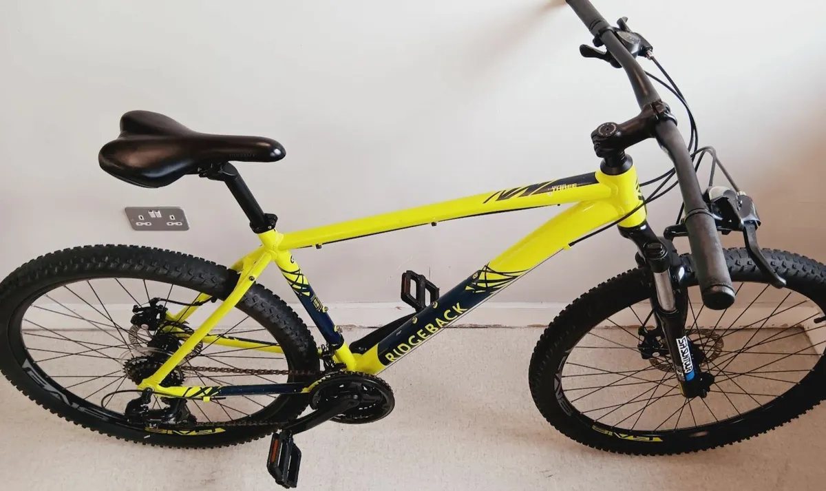 large Ridgeback Terrain Mountain bike (MINT) - Image 1