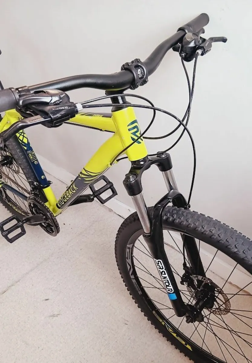 large Ridgeback Terrain Mountain bike (MINT) - Image 2