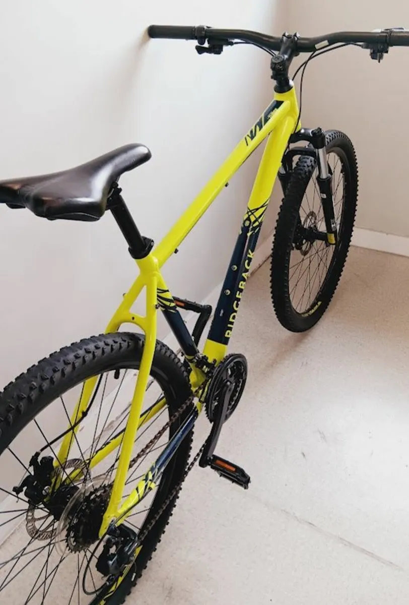 large Ridgeback Terrain Mountain bike (MINT) - Image 3