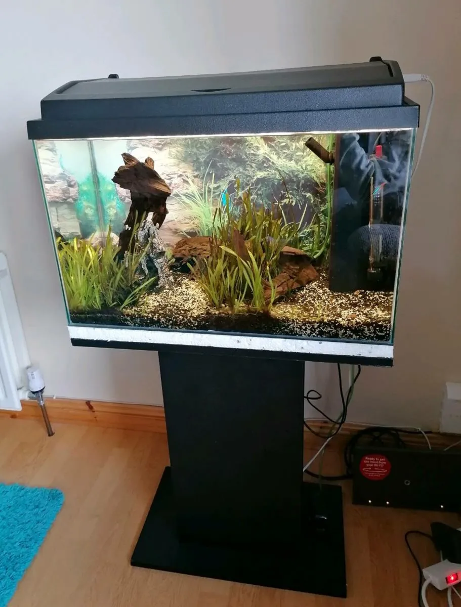 Fish Tank 80L with Stand - Image 1