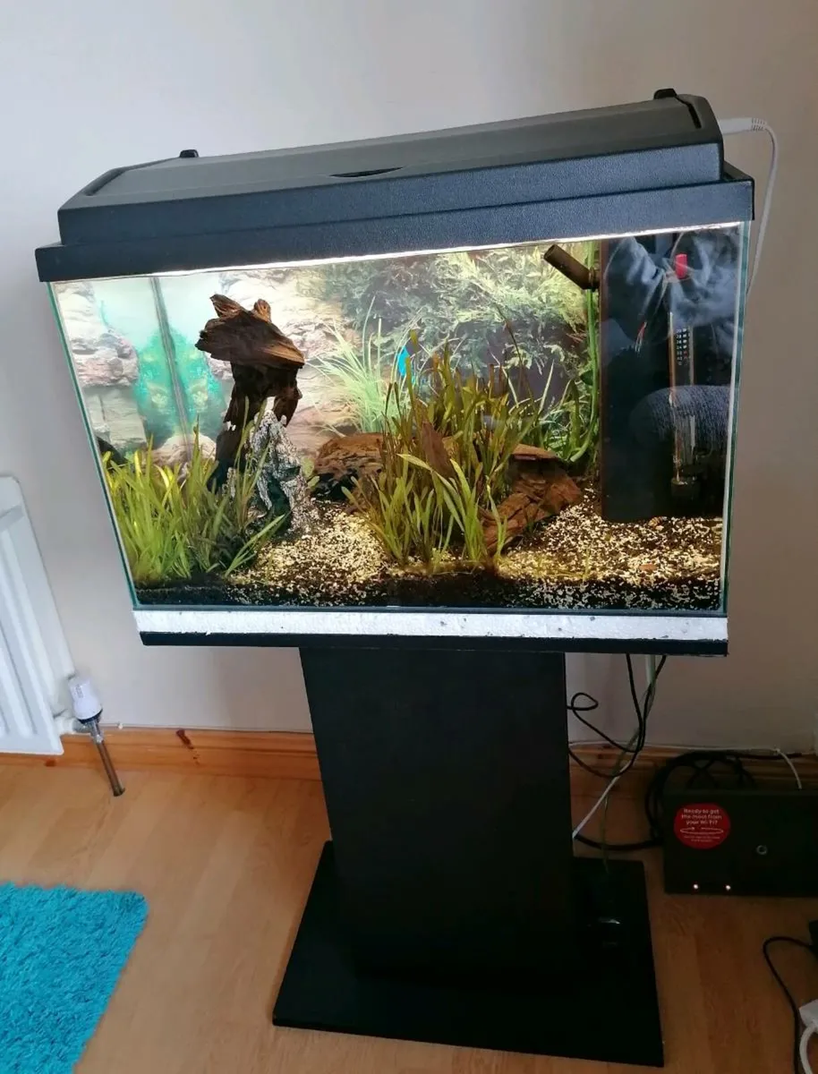 Fish Tank 80L with Stand - Image 3