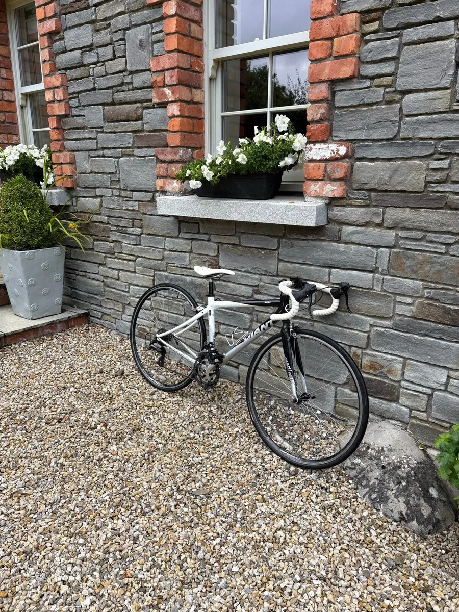 Bycycle - Image 1