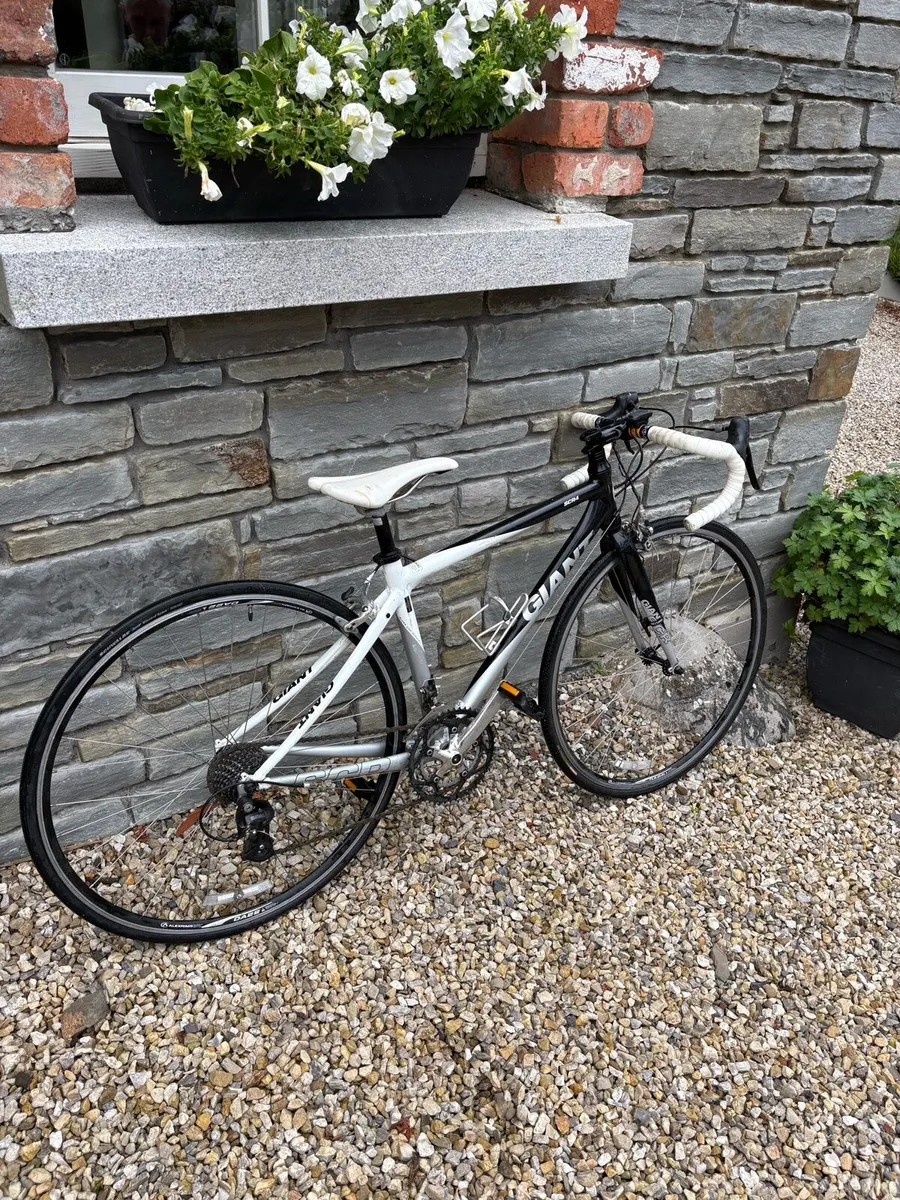 Bycycle - Image 3