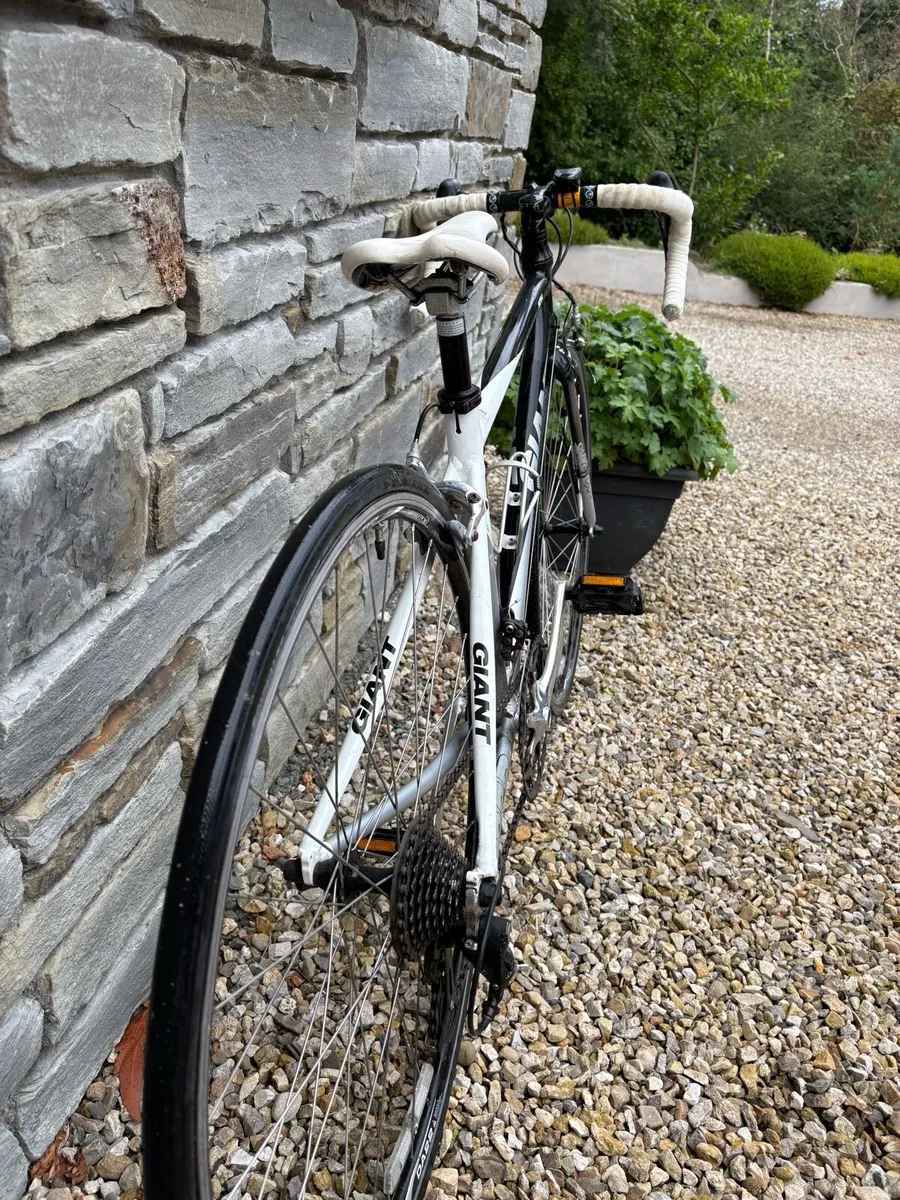 Bycycle - Image 4