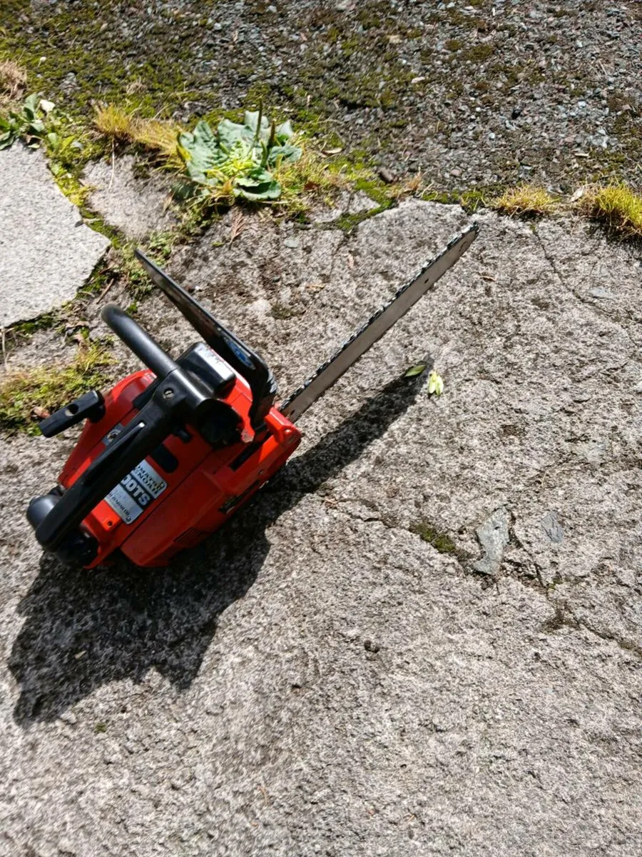 Chainsaw - Image 1