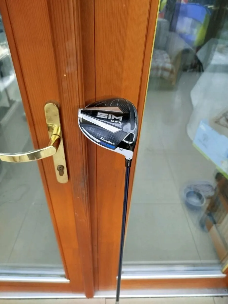 Sim Max Driver - Image 2