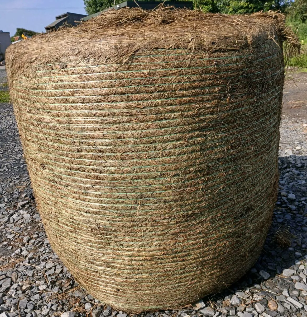Silage bales - Image 2