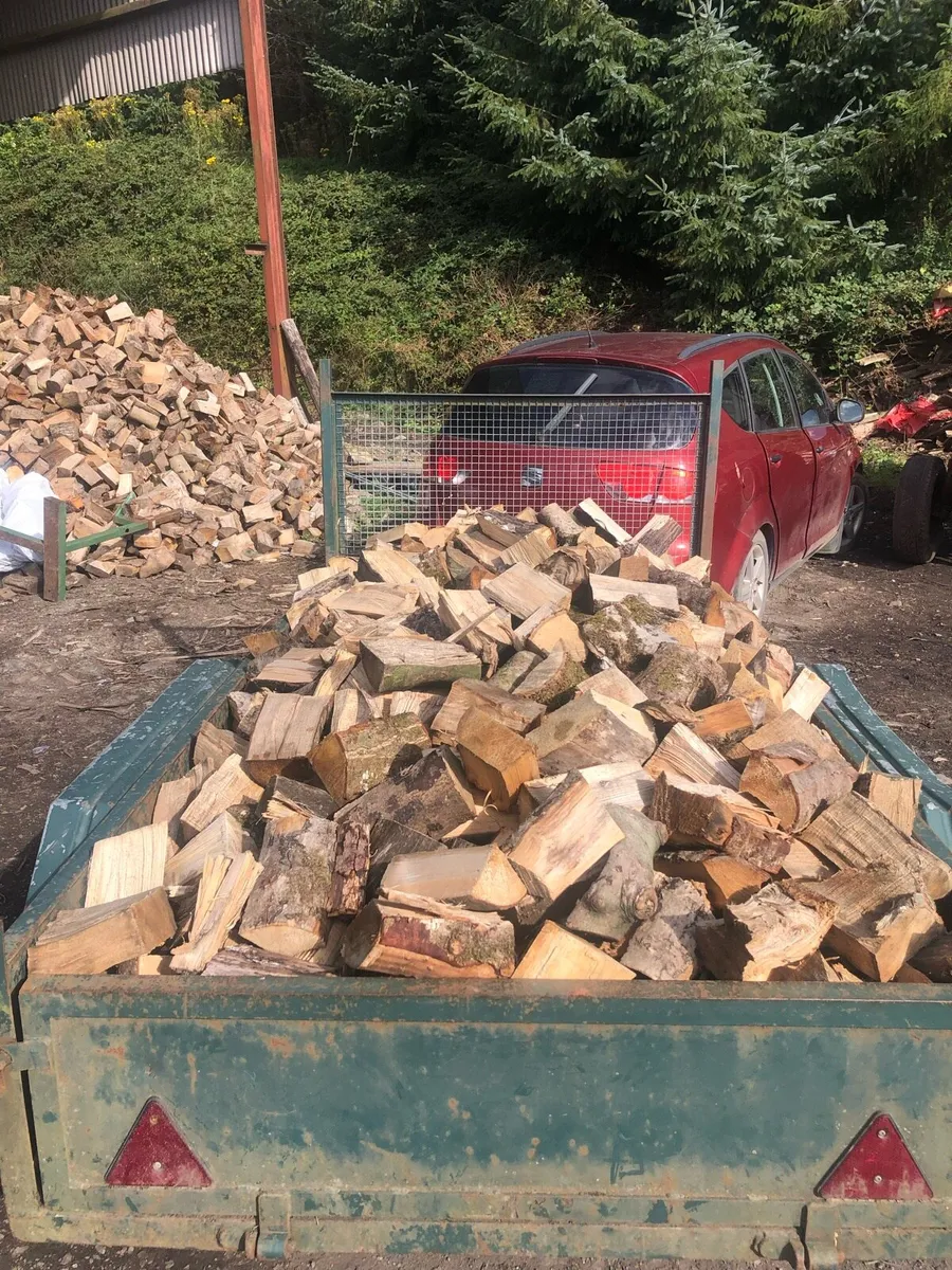 Trailers of firewood - Image 2