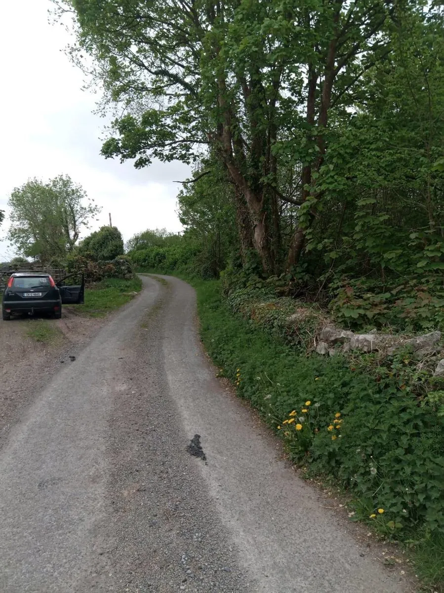 Site - Image 2
