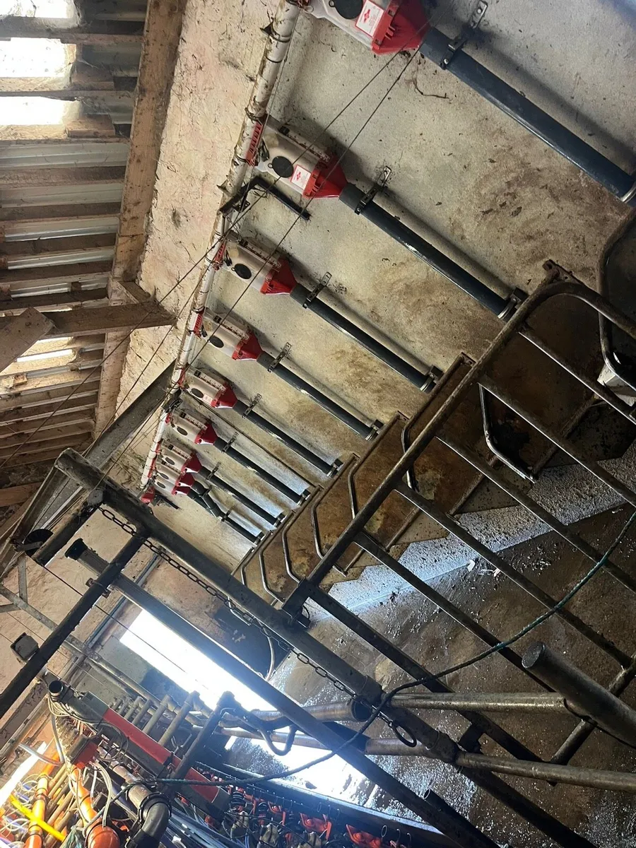 Milking parlour - Image 2
