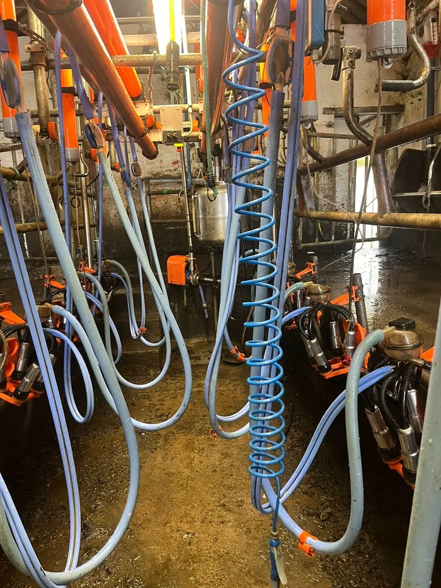 Milking parlour - Image 3