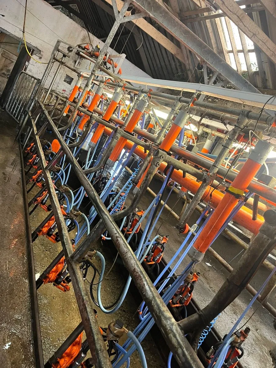 Milking parlour - Image 1