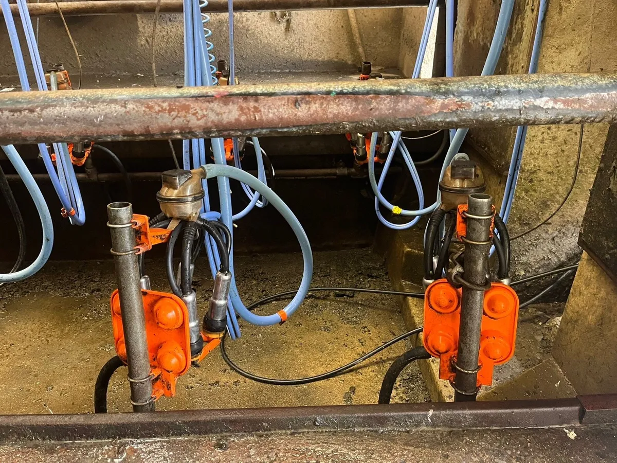 Milking parlour - Image 4